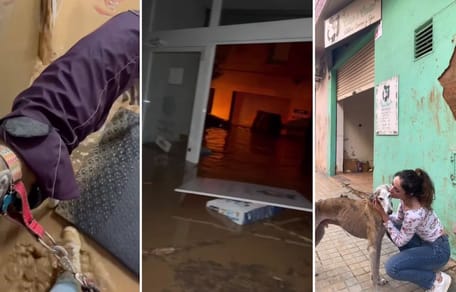 peluqueria-canina-inundada-catarroja-valencia-dana