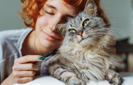 perché i gatti fanno le fusa