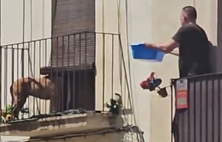 perro-atrapado-balcon-tarragona