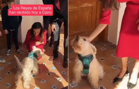 perro-cairo-con-reyes-españa