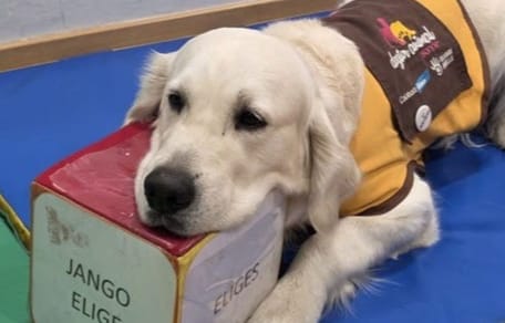 perro-de-terapia-purina-CPEE-infanta-elena-madrid