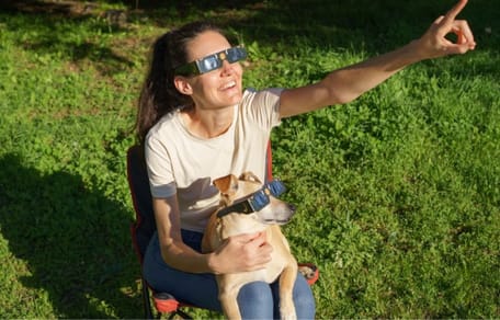 perro-eclipse-solar