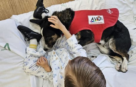 perro-terapia-acomapaña-niño-con-cancer-hospital-malaga