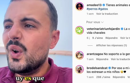 perros-juan-amodeo