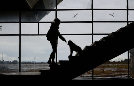 perros-situacion-vulnerable-Premio-BetterWithPets