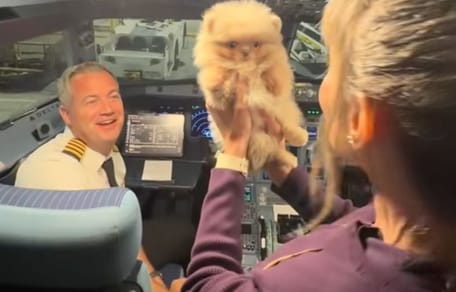 Pilote et chiot