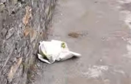 Sacchetto di plastica trovato sul ciglio della strada