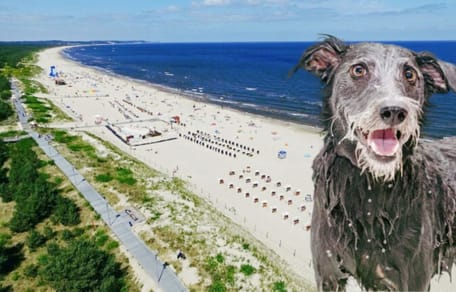 Playas en Polonia para perros