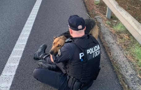 policia-mallorca-rescata-perro-carretera