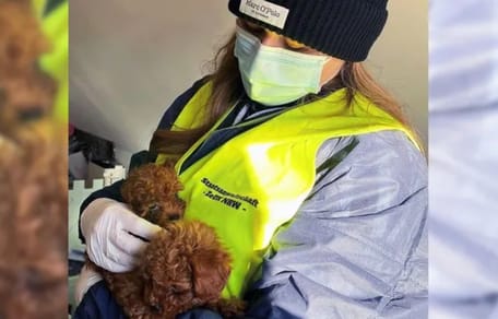 Policía con uno de los cachorros rescatados