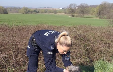 Policía con perro en el arcén de la carretera