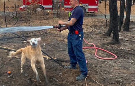 Brandweerman en hond