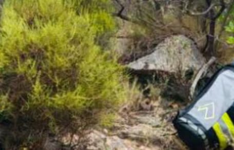 Firefighters in a forest