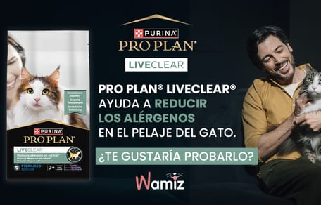 pro-plan-liveclear-para-gatos
