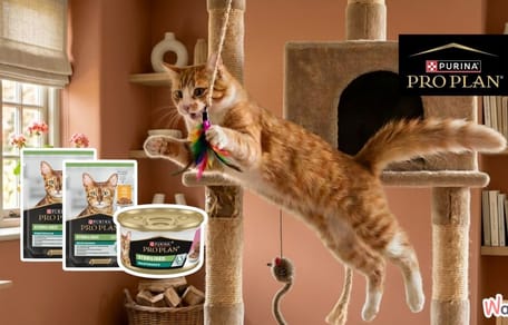 PURINA® Pro Plan Sterilised