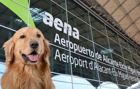 pueden-entrar-perros-aeropuerto-de-alicante