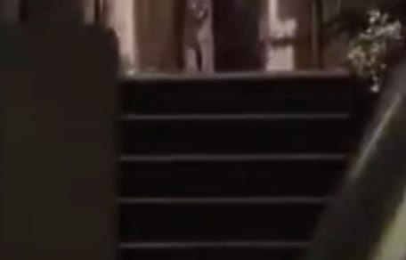 Her porch light flicks on to reveal the unthinkable: a 77-pound predator on her doorstep