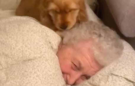 Welpe und Oma kuscheln zusammen im Bett.