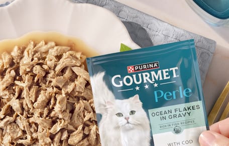 Purina Gourmet Perle