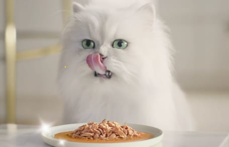 purina-gourmet-perle-para-gatos