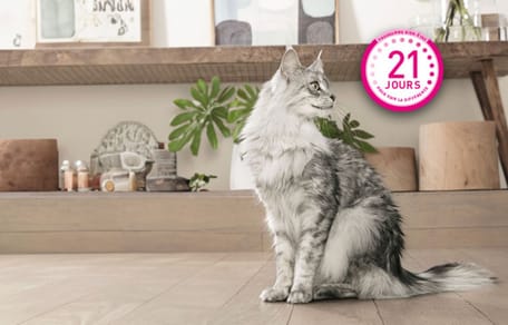Purina® ONE® Programme 21 joues