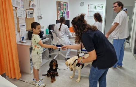 purina-terapia-perro-hospital-manacor