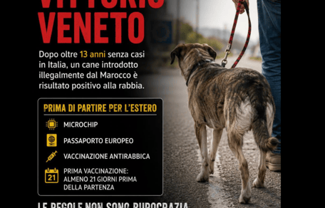 rabbia a Vittorio Veneto