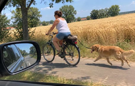 Radfahrerin mit erschöpftem Hund