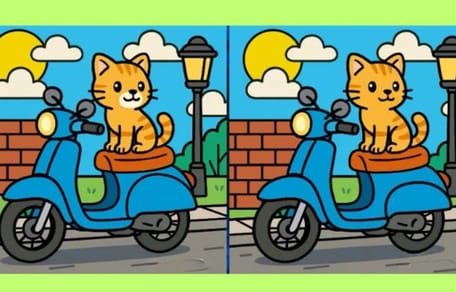 Zoekplaatje kat op scooter