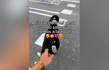 reaccion-perro-recibiendo-abuela-metro-barcelona