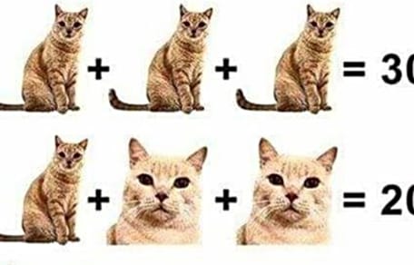 Rechenrätsel mit Katze
