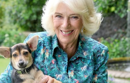 Reine Camilla