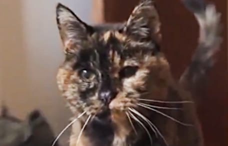 Rekordhalterin Flossie