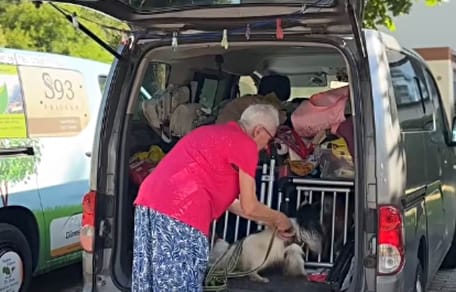 Rentnerin lebt mit ihren 4 Hunden im Van