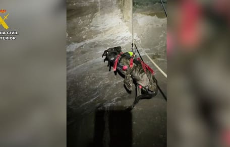 rescate-perro-teruel