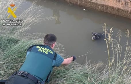 rescate-pitbull-guardia-civil