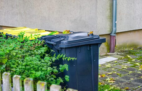 Restmülltonne vor einem Mehrfamilienhaus