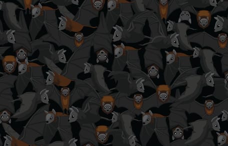 reto viral Halloween gatos
