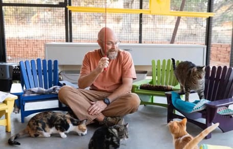 Pensioner and rescue cats