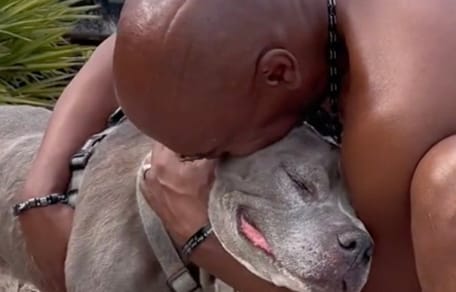 Dog and owner reunion