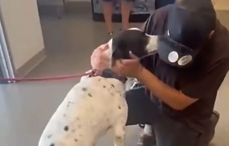 A heartwarming reunion between a man and his dog
