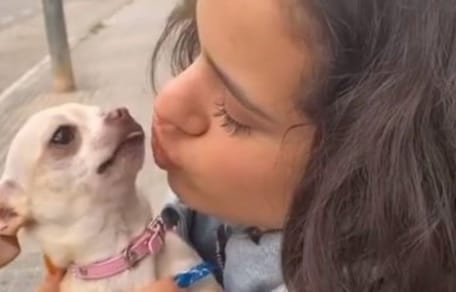 rosalia-besa-perrita-mochi