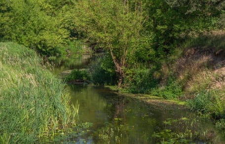 Fluss