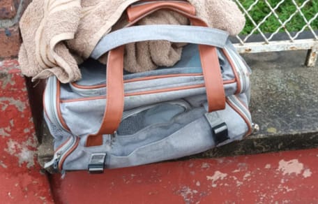 Sac de transport abandonné sur un muret : les sauveteurs ont le cœur battant en découvrant l'intérieur