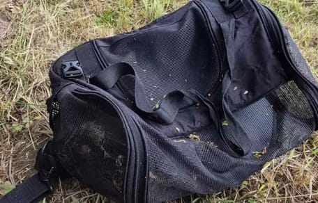 Black travel bag found in a bush