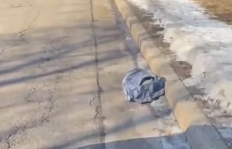 Sac en bord de route