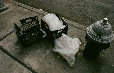 Un promeneur découvre quatre chatons enfermés dans un sac plastique : le pire s'est déjà produit