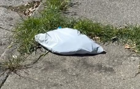 Sac plastique abandonné