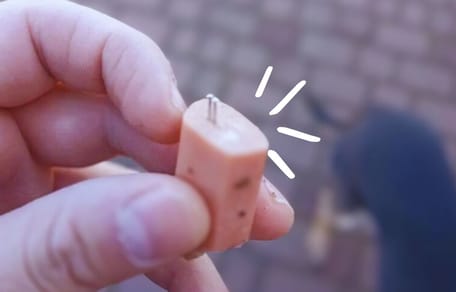 Saucisses avec des aiguilles pour les chiens