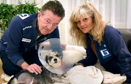 Sammy krijgt tweede leven als Gamma hond